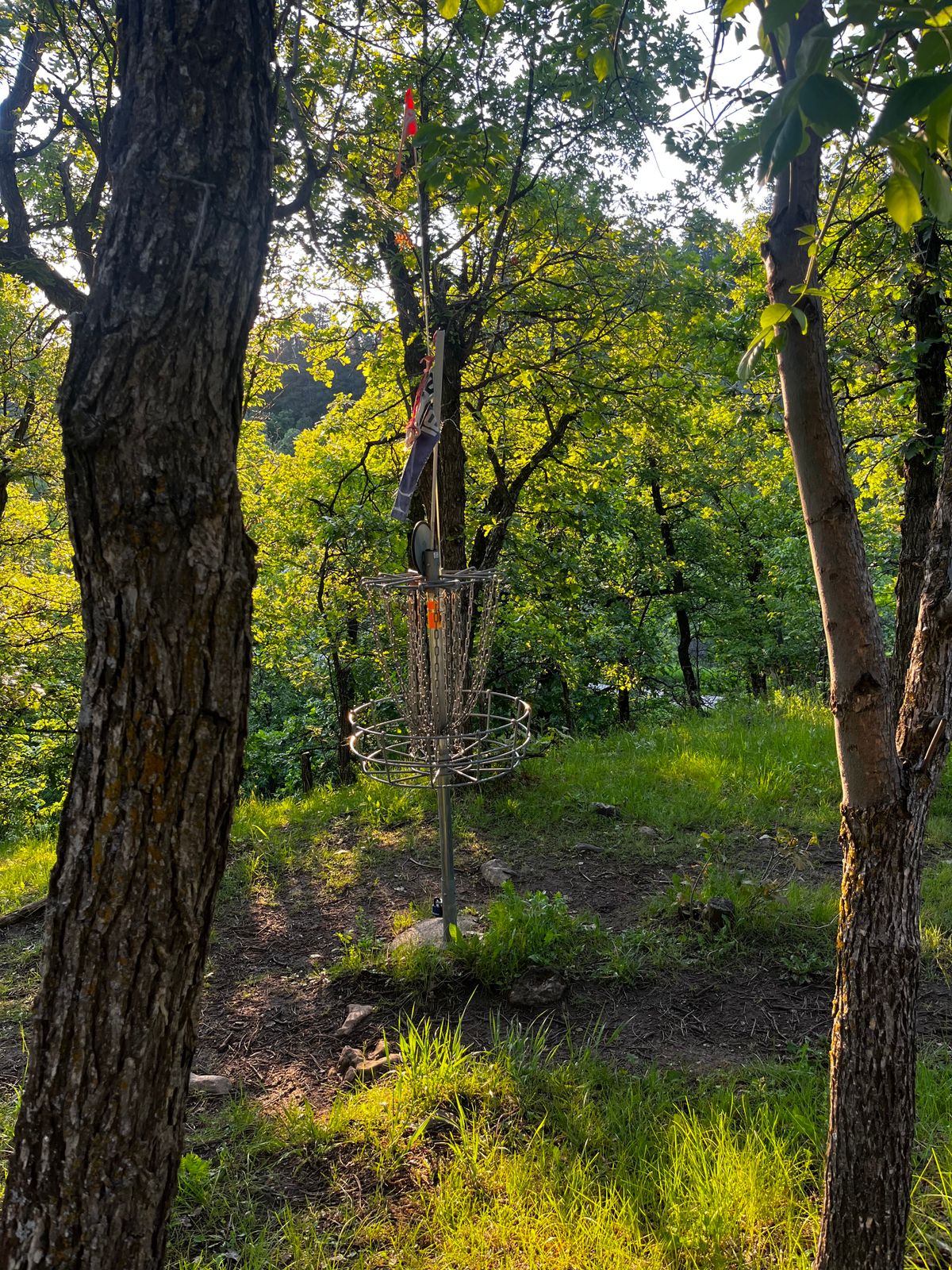 Hole 3 Green