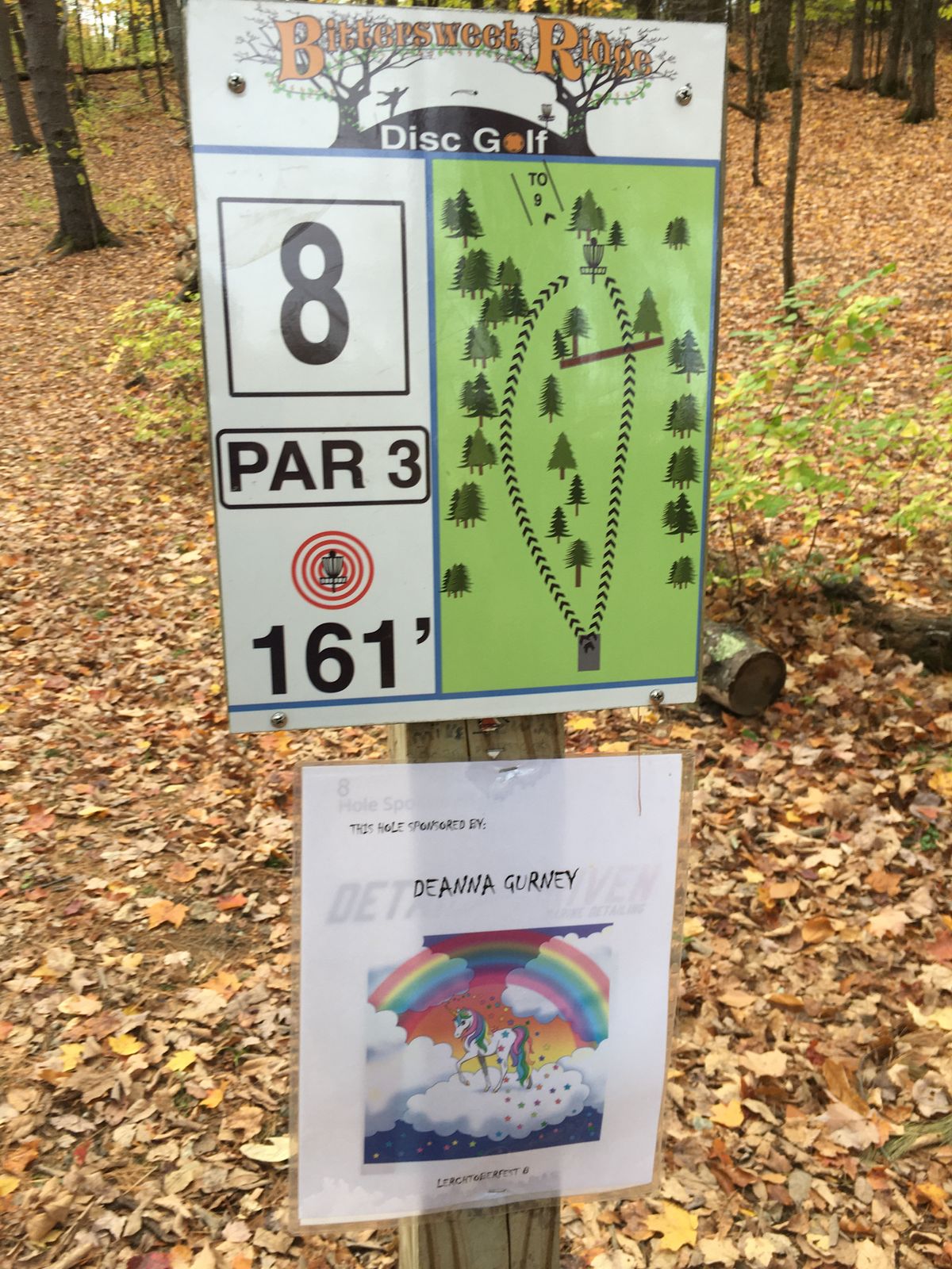 Hole 8