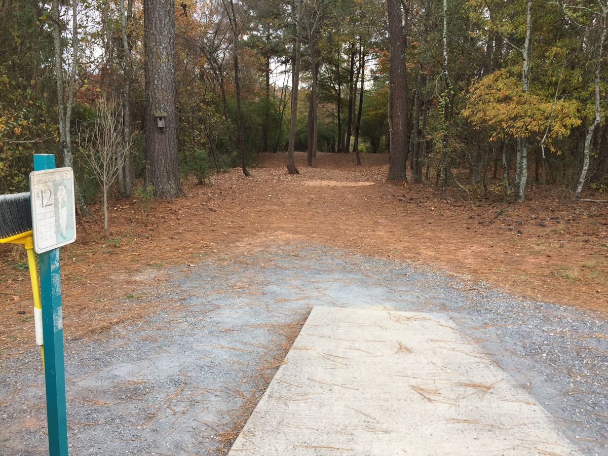 Hole 12