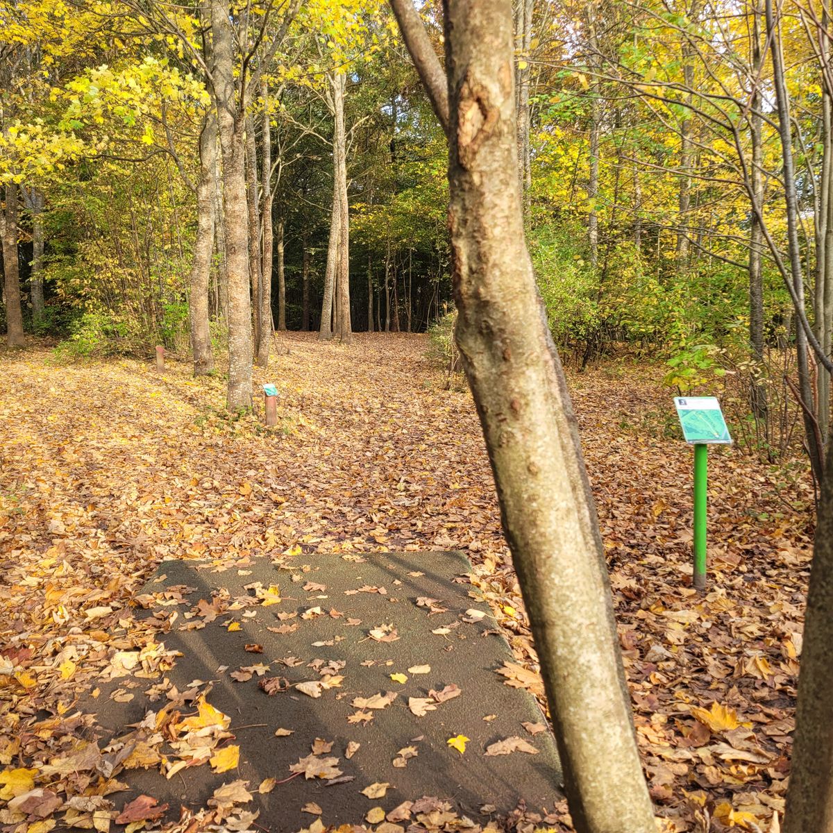 Hole 3, Tilst Bypark
