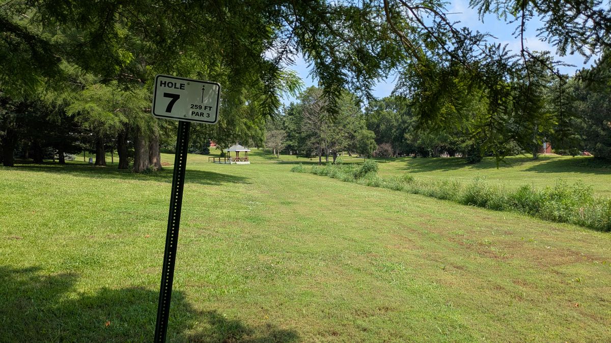 Tee #7