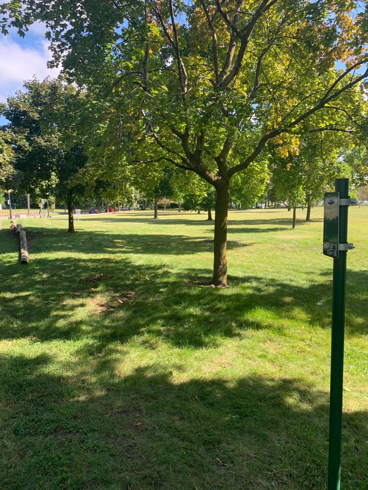 Hole 3 tee pad