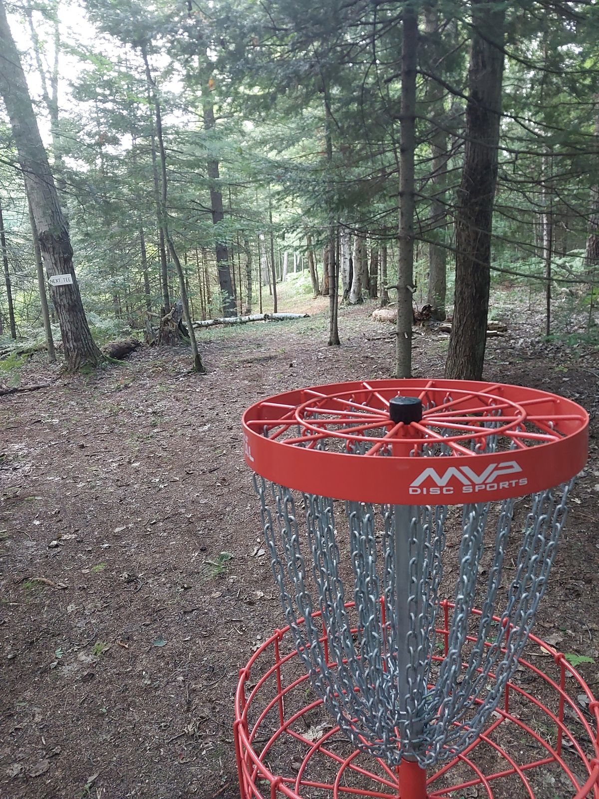 Looking back from basket of hole 9 towards tee