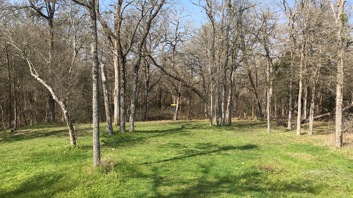 Hole 11
