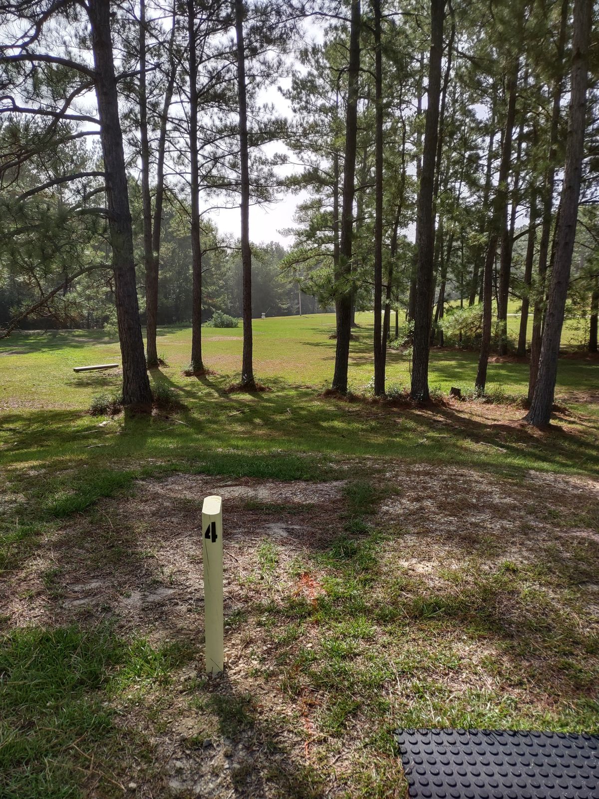 Hole 4