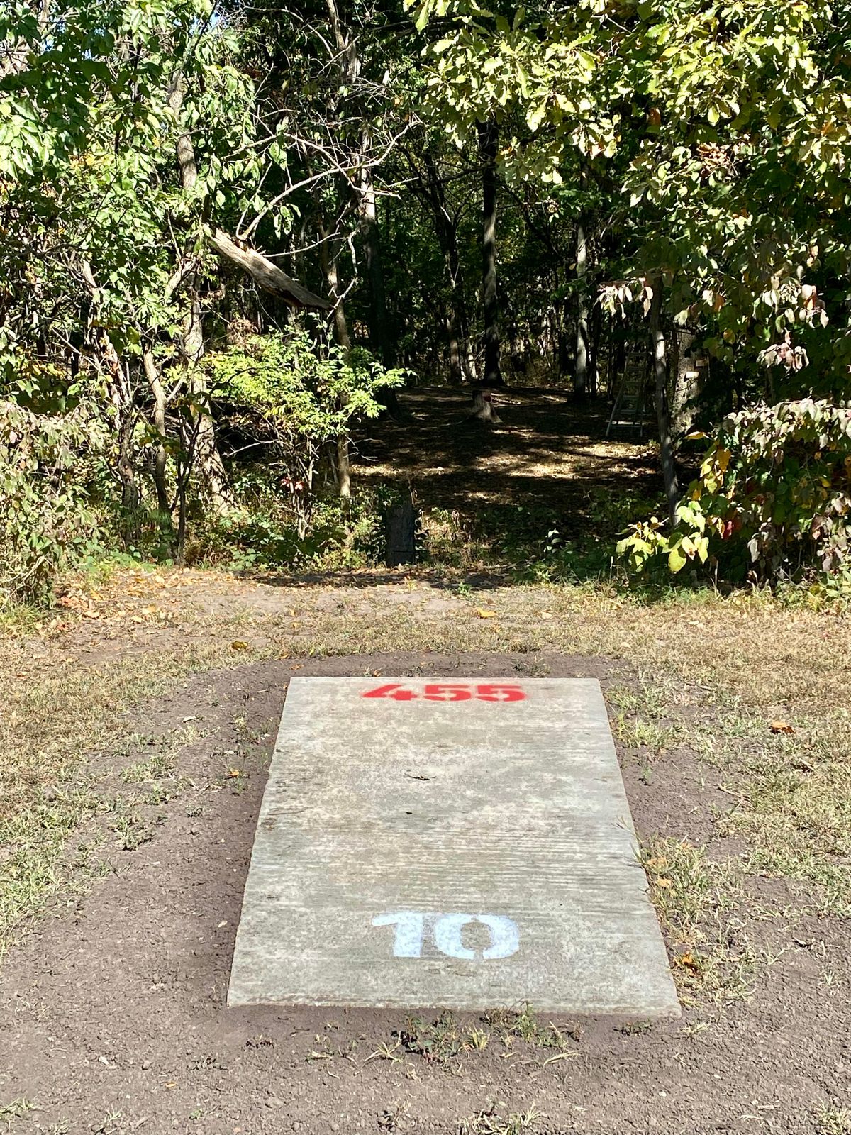 Hole #9 Tee Pad look into the forest