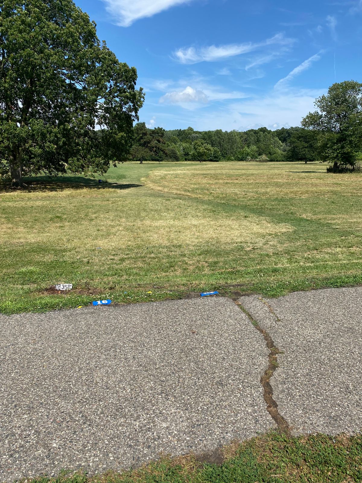 Hole #16 Pro tee pad