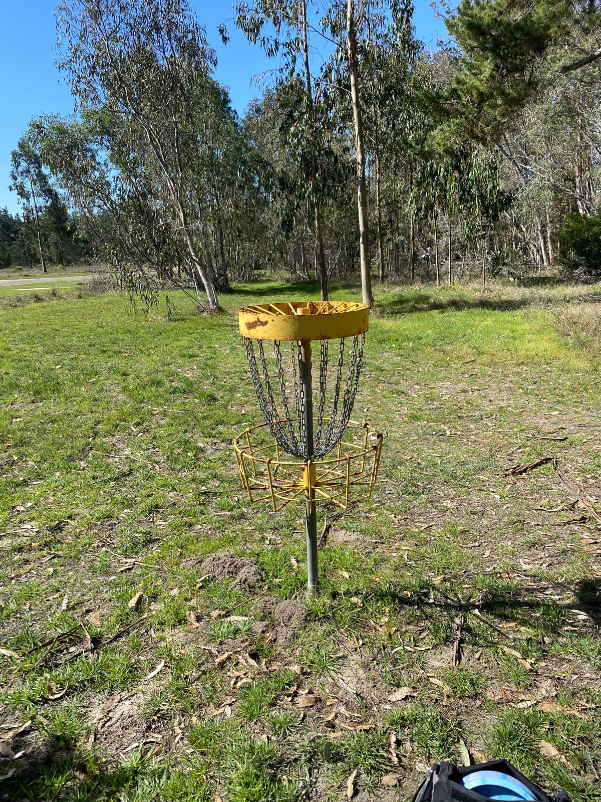 Hole 5