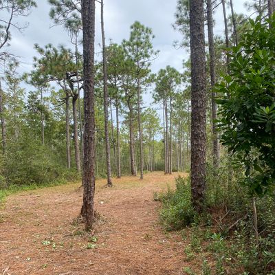 Hole 1
