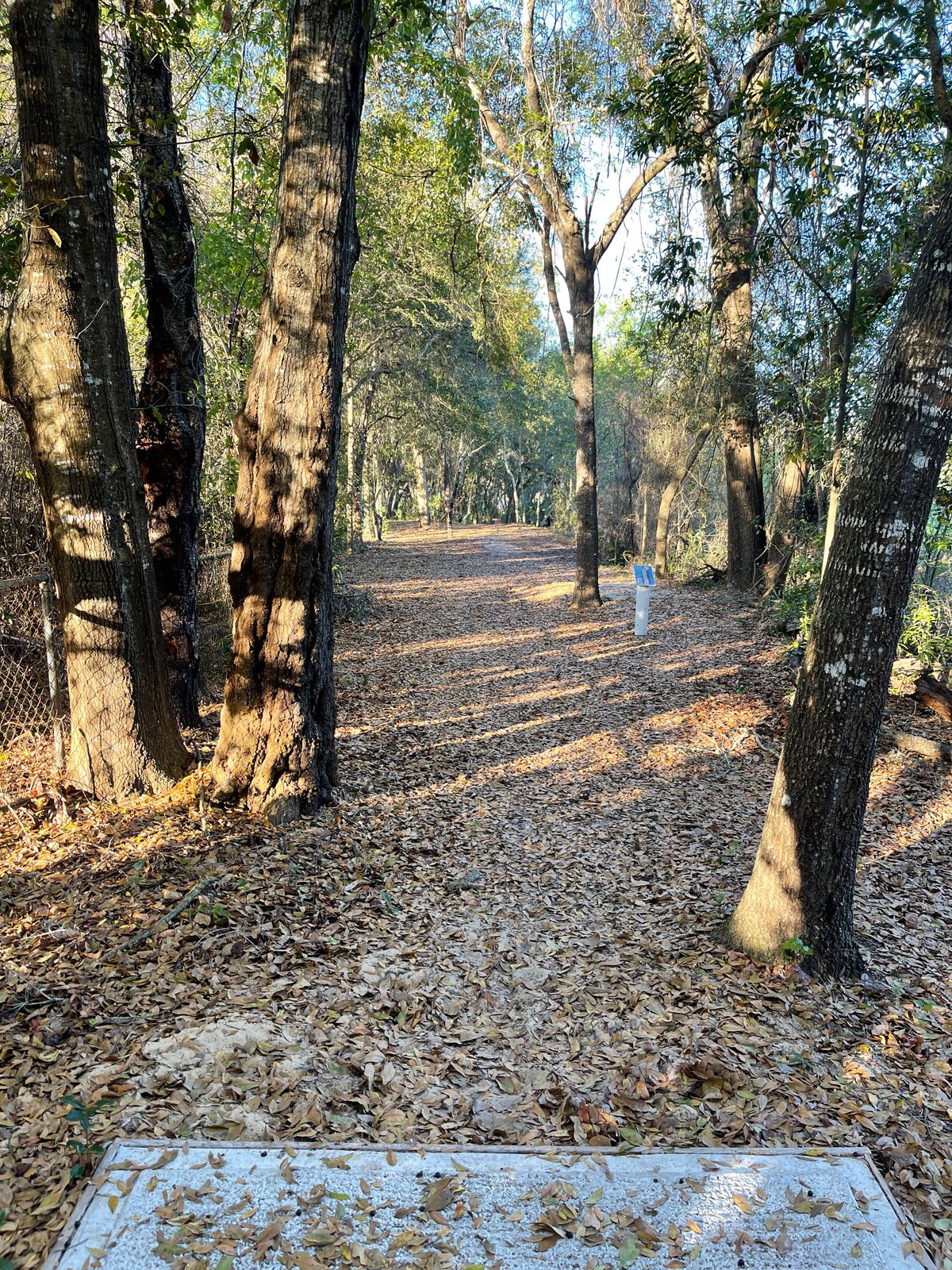 Hole 16