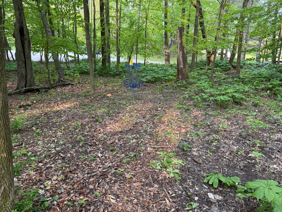 Weed eating around baskets.