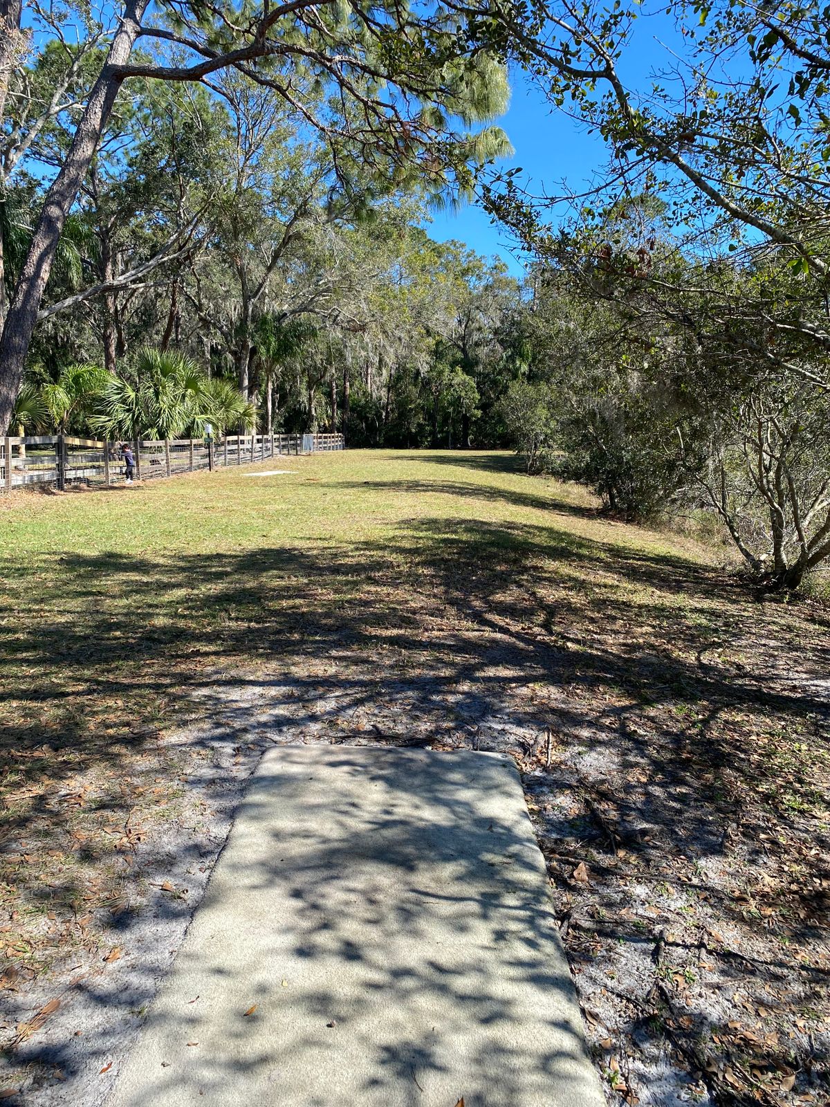 Hole 4 gold tee.