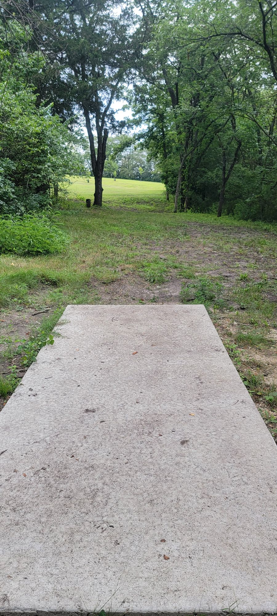 10's tee pad view. The fairway bends right out of the woods and opens up straight, bending back right again to the basket back in the woods.