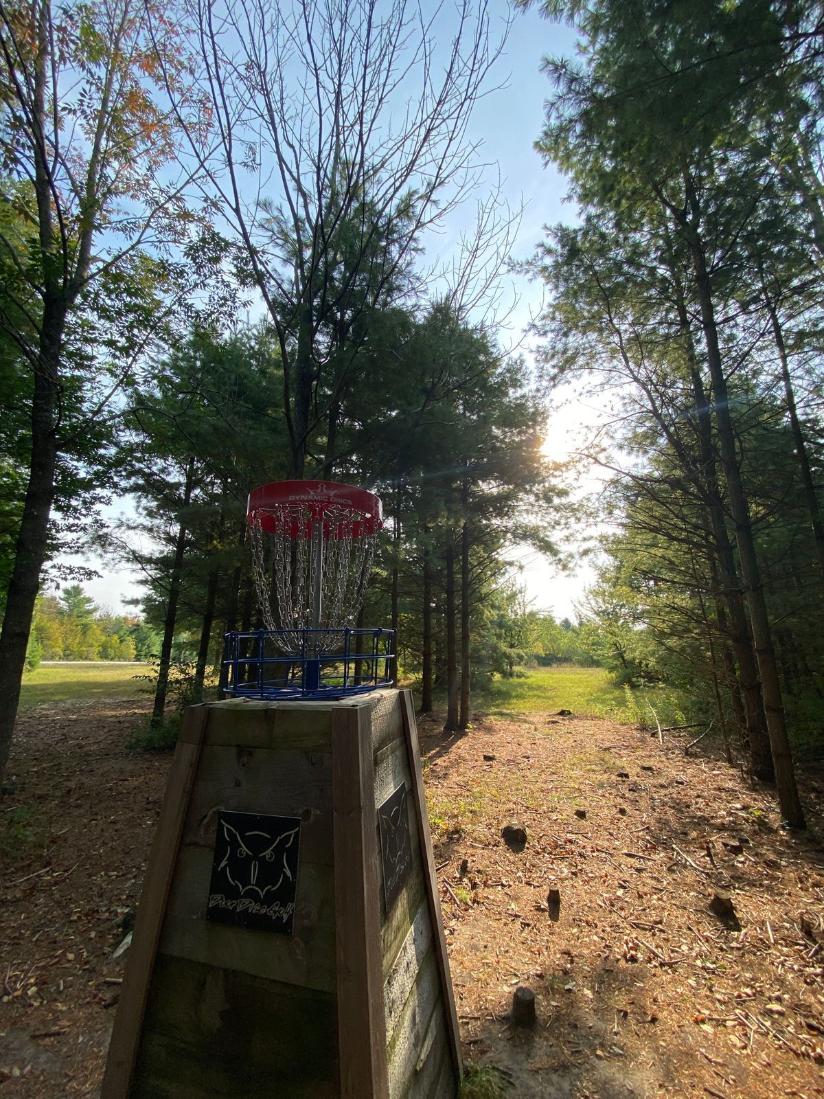 Basket 18