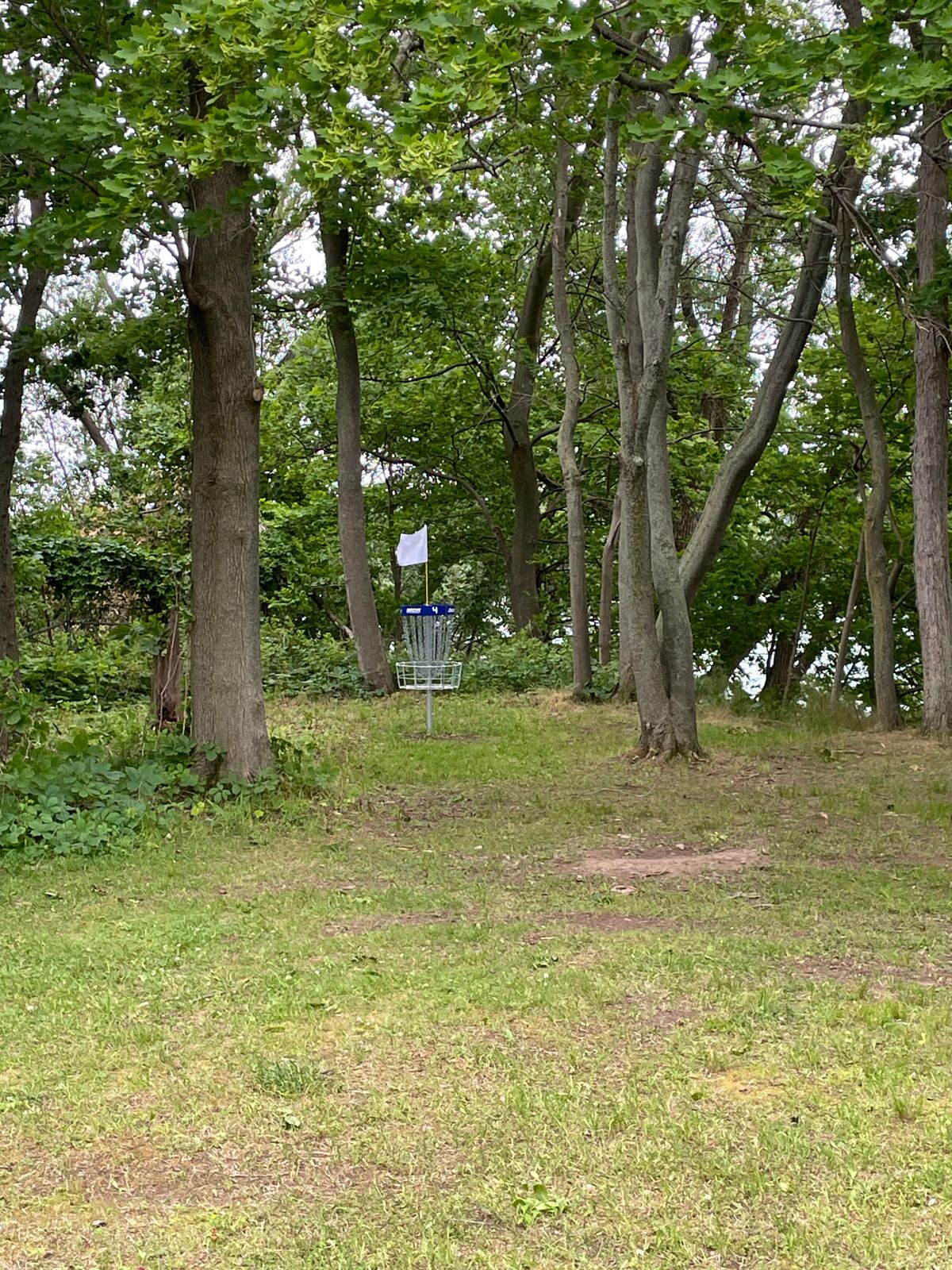 Hole 4 basket