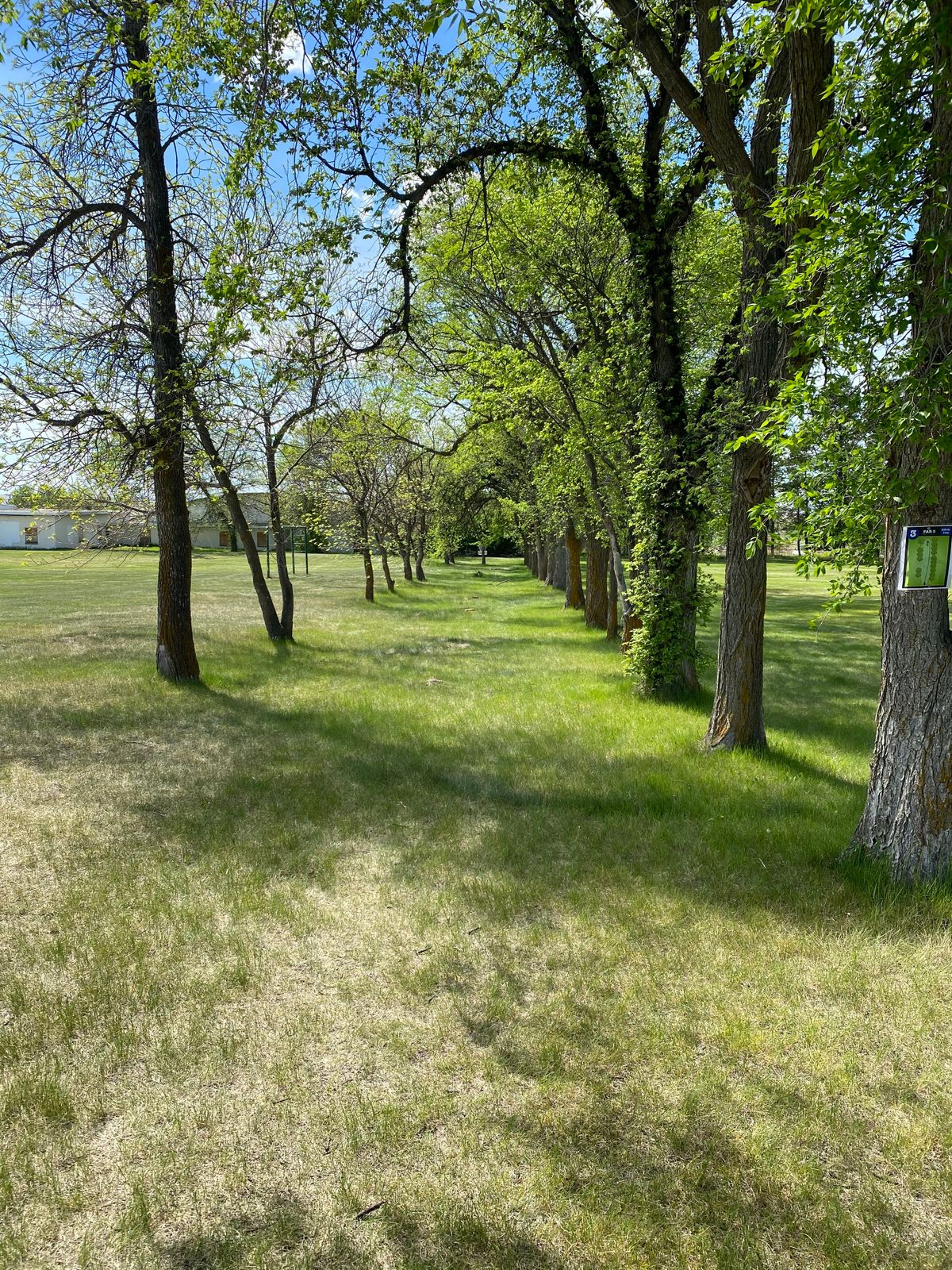 Hole 3