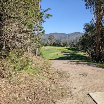 #8 - teepad view