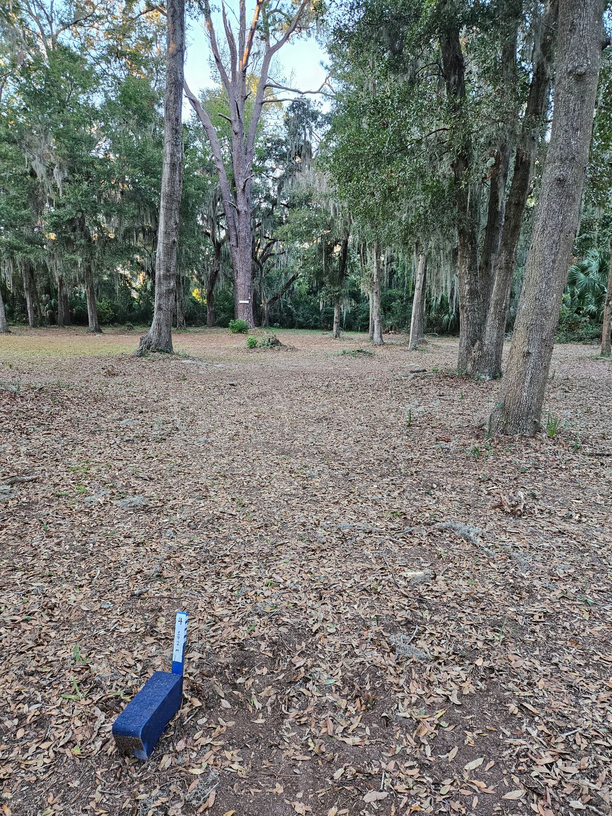 4 Blue