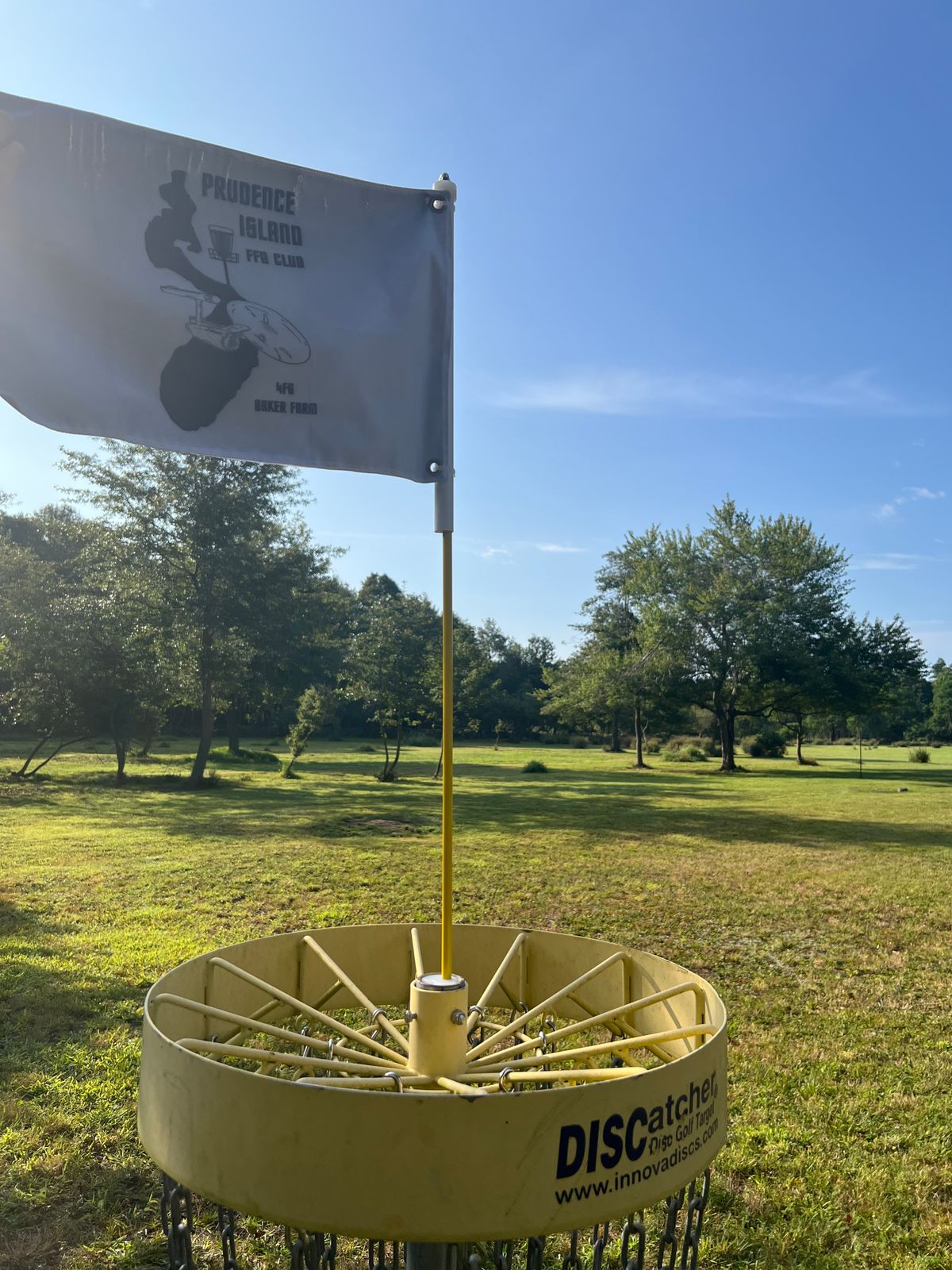 Club flag on hole 2 basket