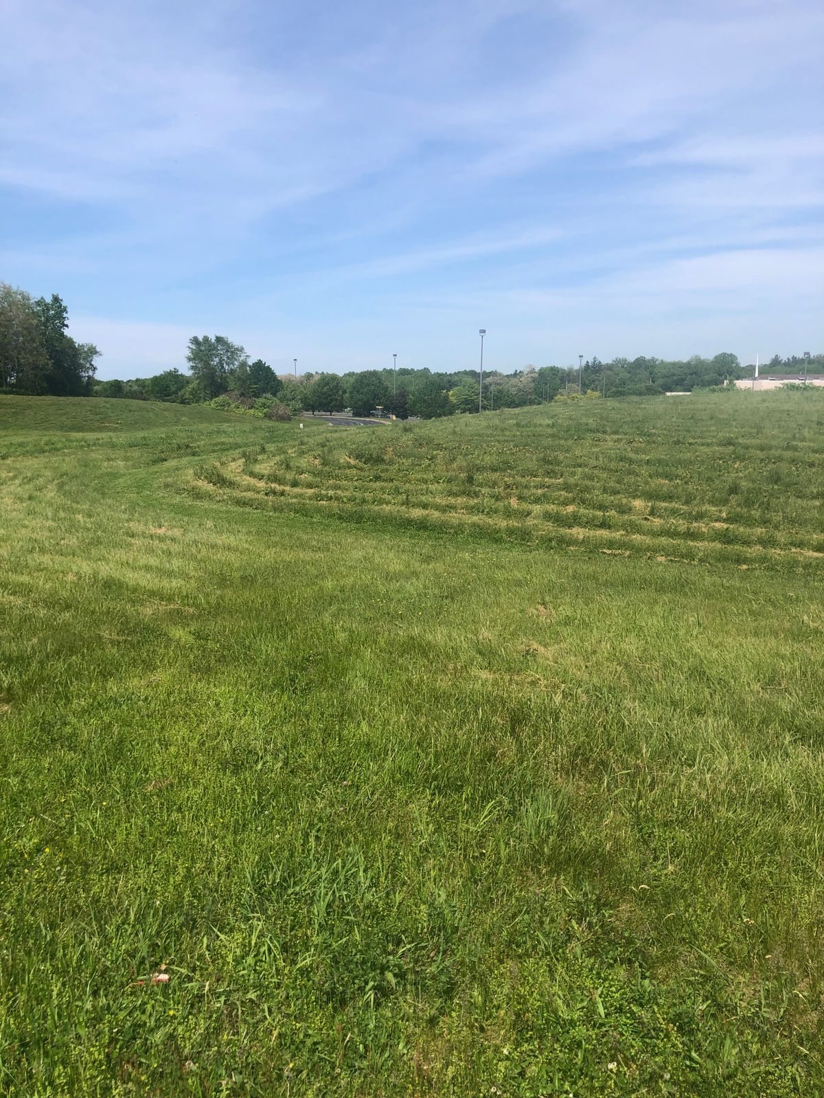 Hole 18 red tee
