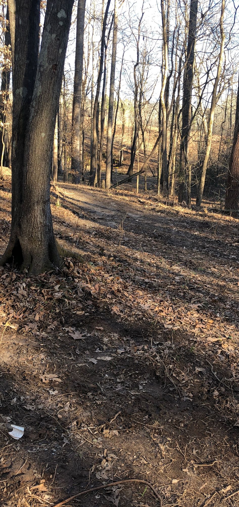 Hole 8 Tee