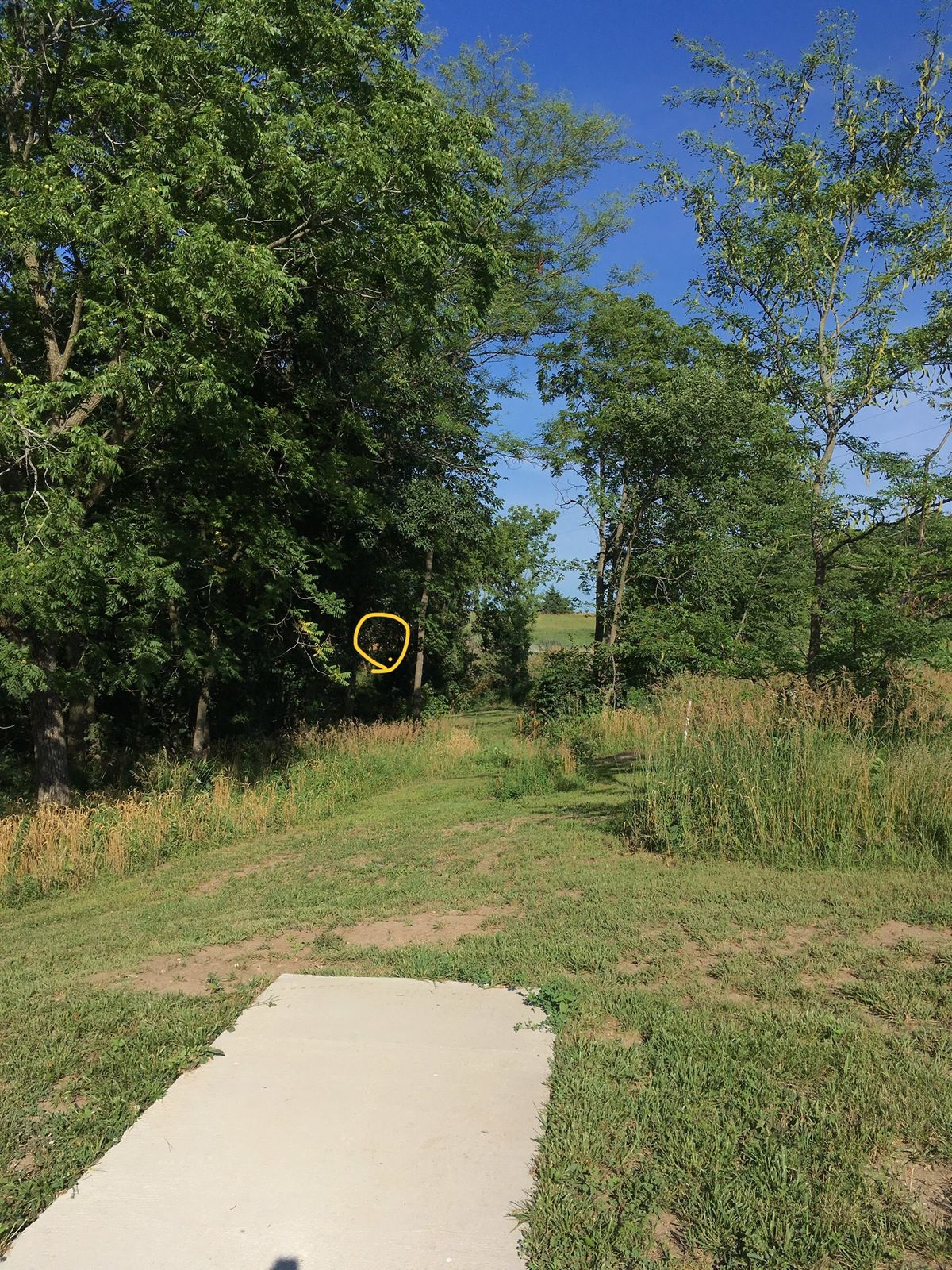 Hole 18 tee pad