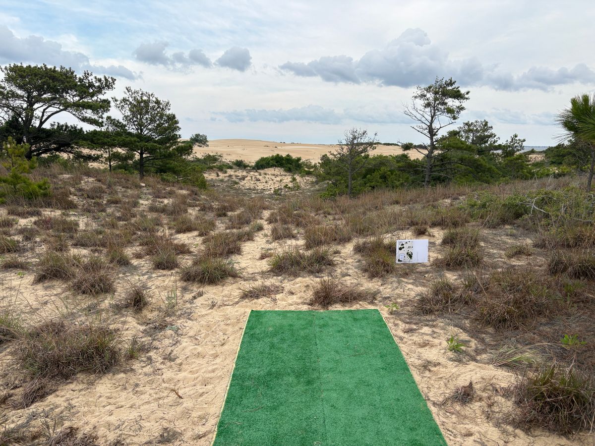 Hole 10 tee