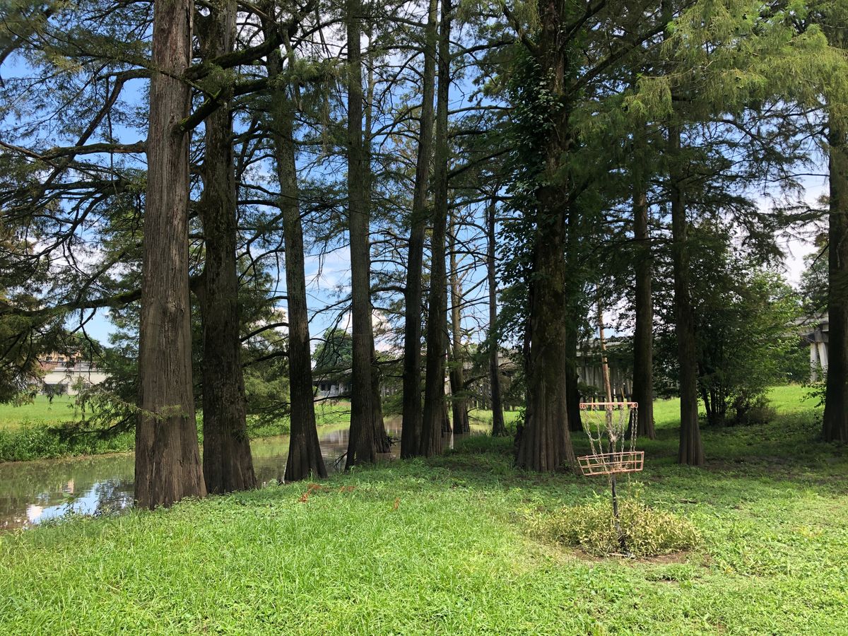 Hole 6 basket