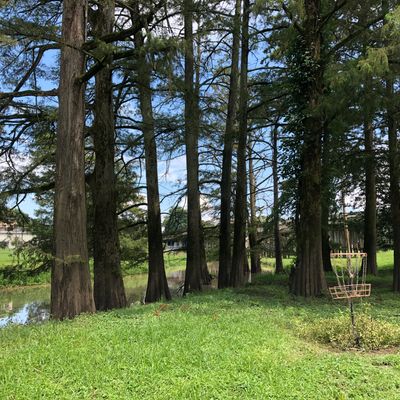 Hole 6 basket