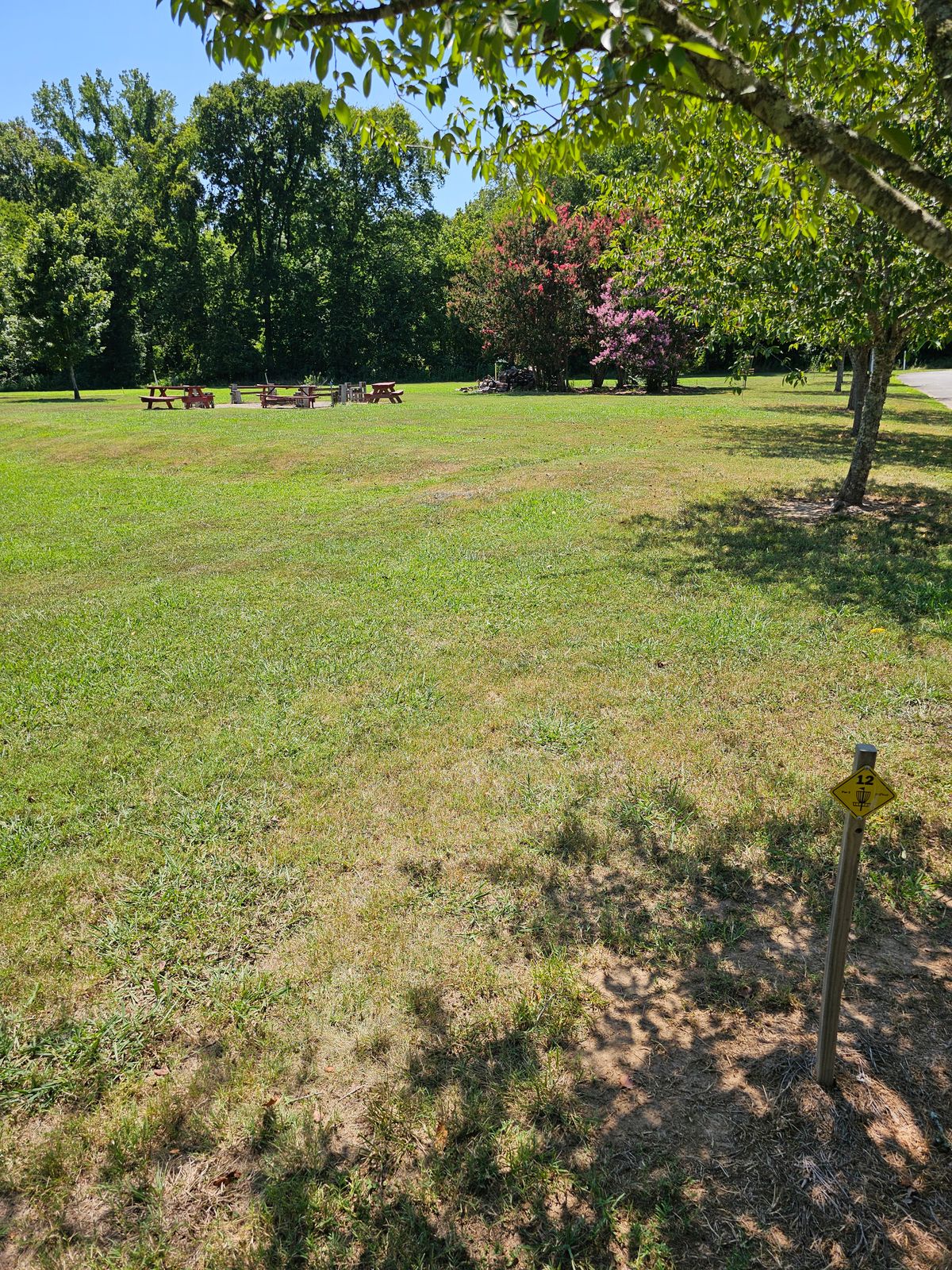 Hole 12 (plays to Hole 7's basket)