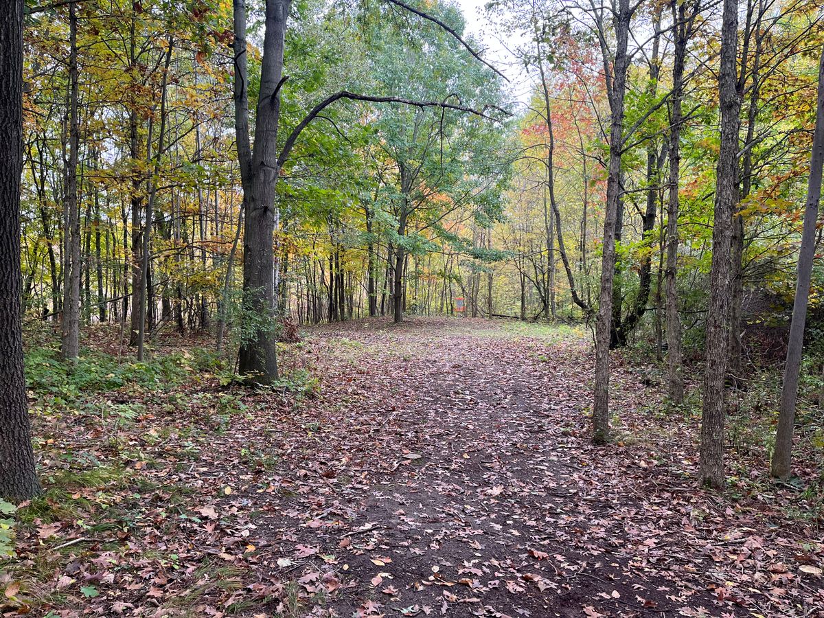 Hole 12 approach
