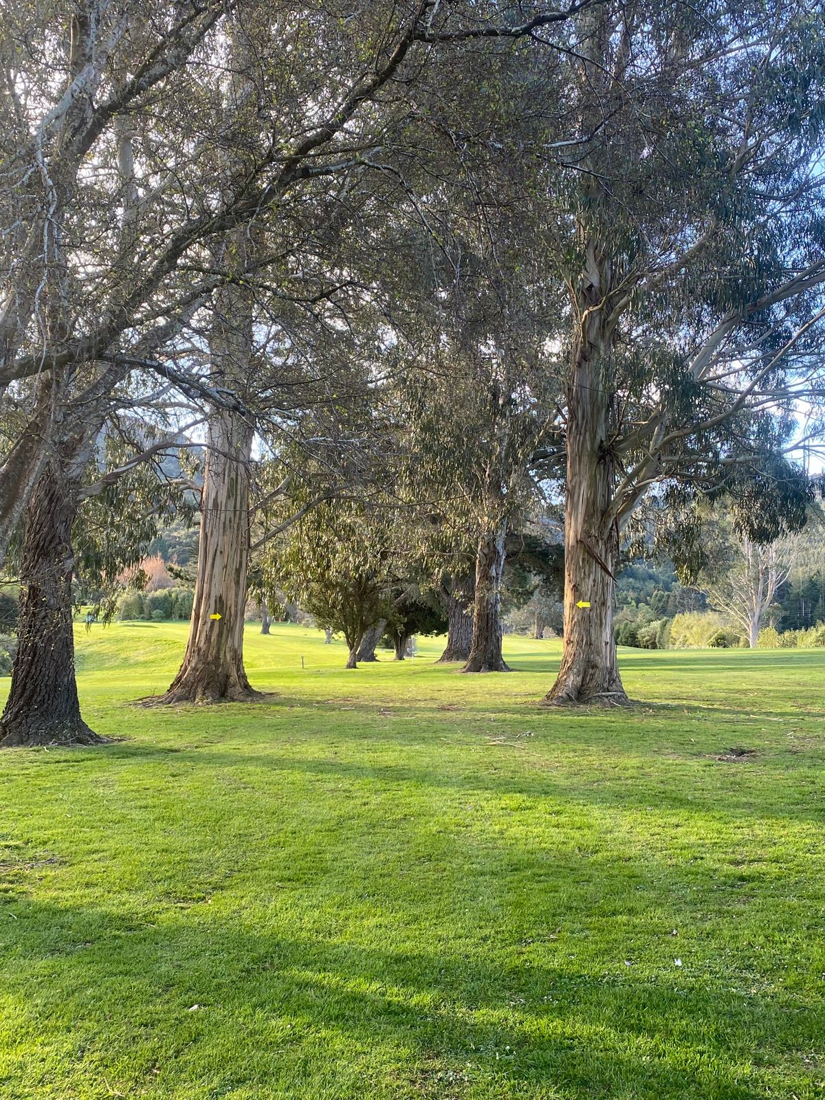 Hole 5: Double Mando