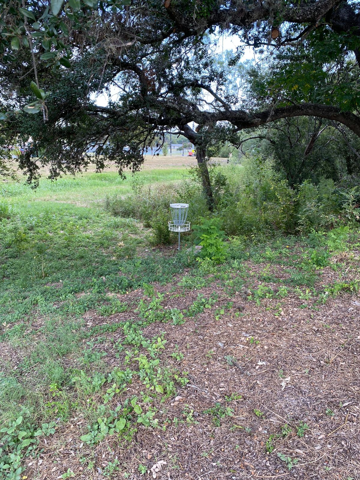 Hole 1 basket.