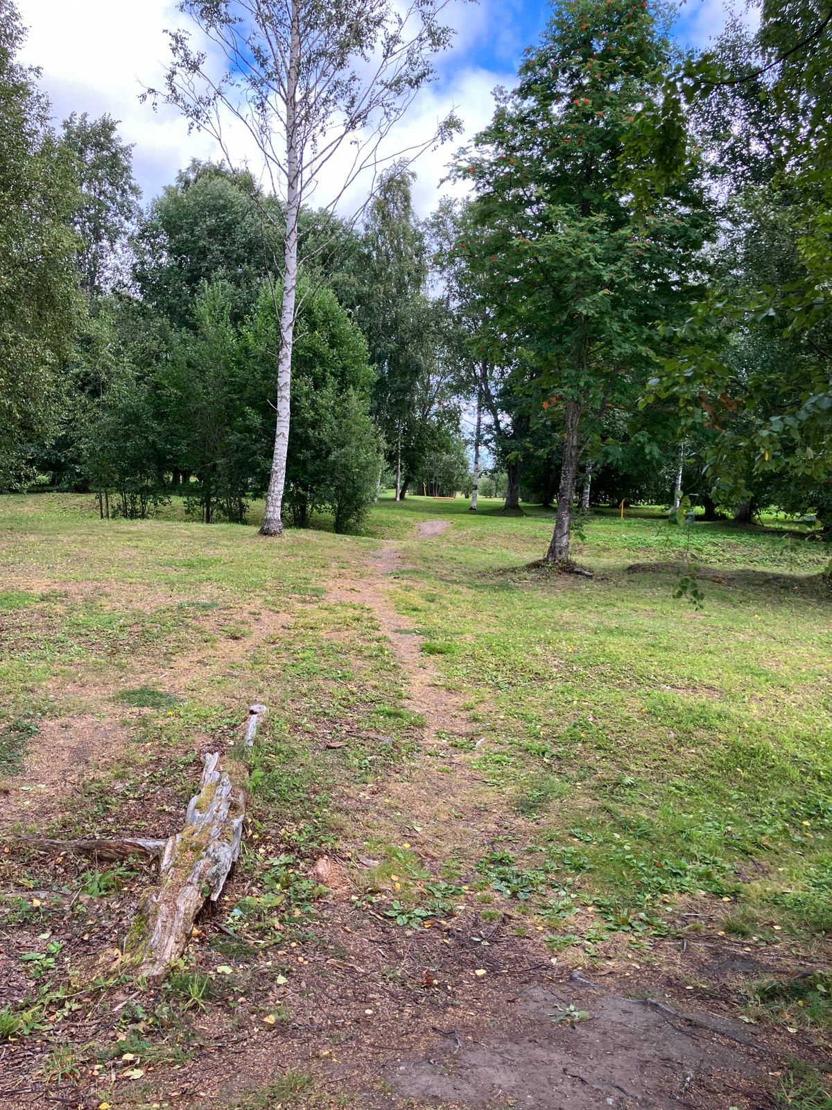 Hål 11, Fairway