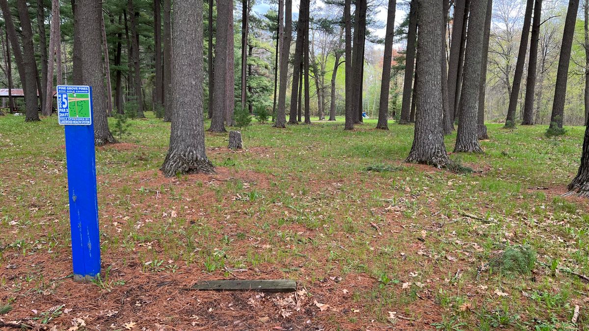 Hole 5