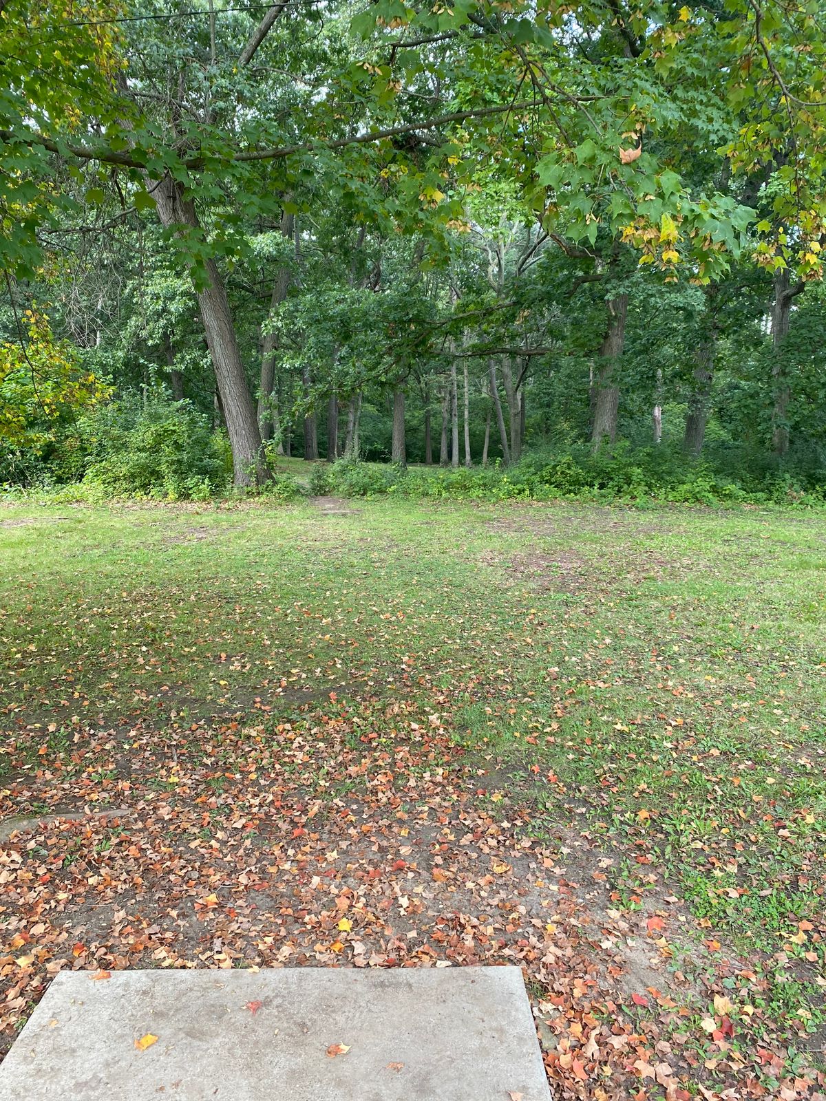 From Short first tee