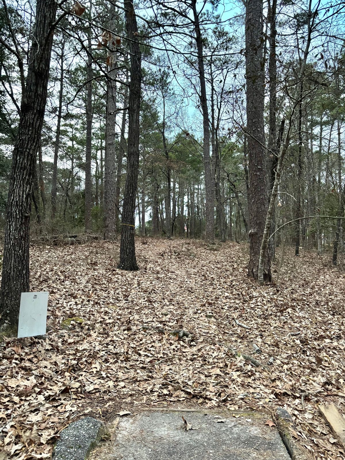 Hole 18 Long Tee