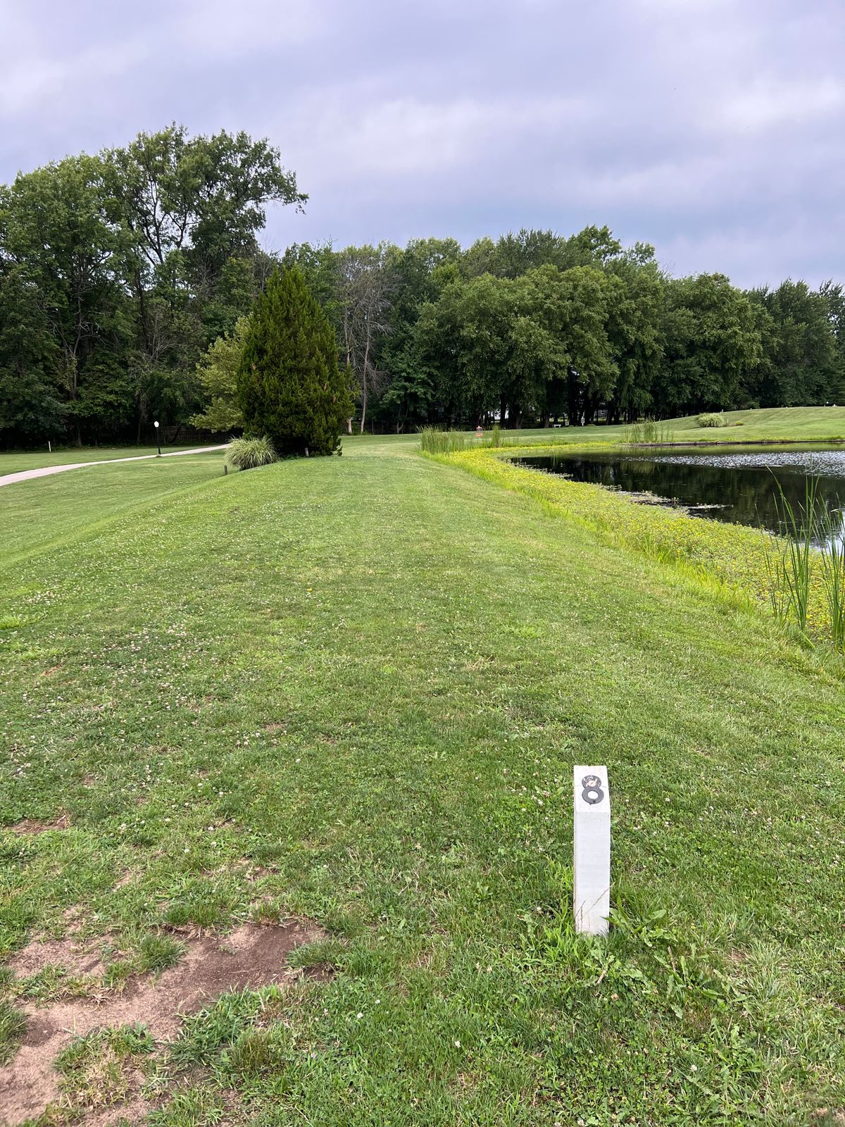 Hole #8 Tee pad