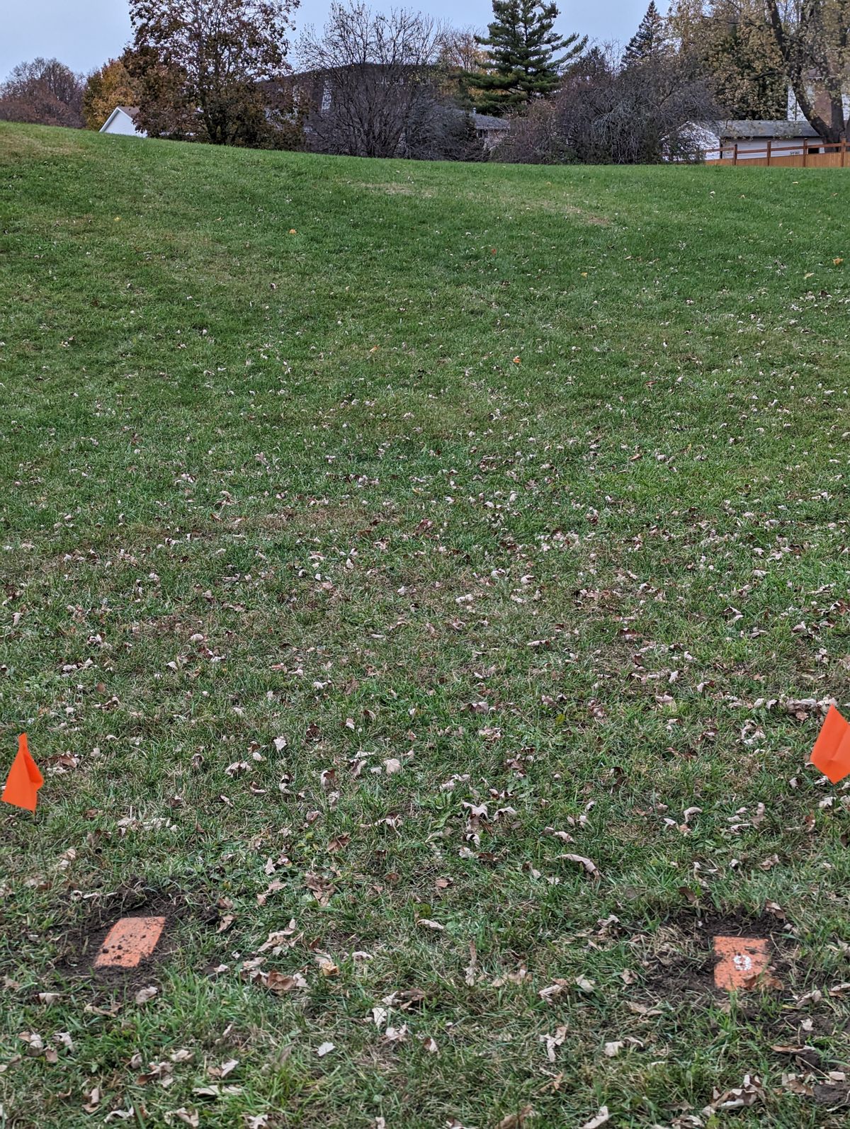Tee8