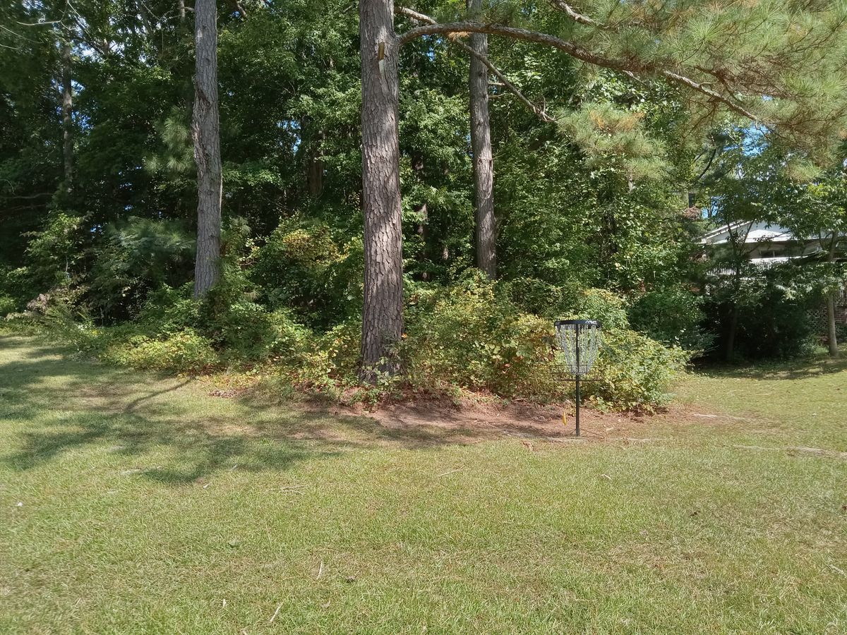 Hole 3 rocketship