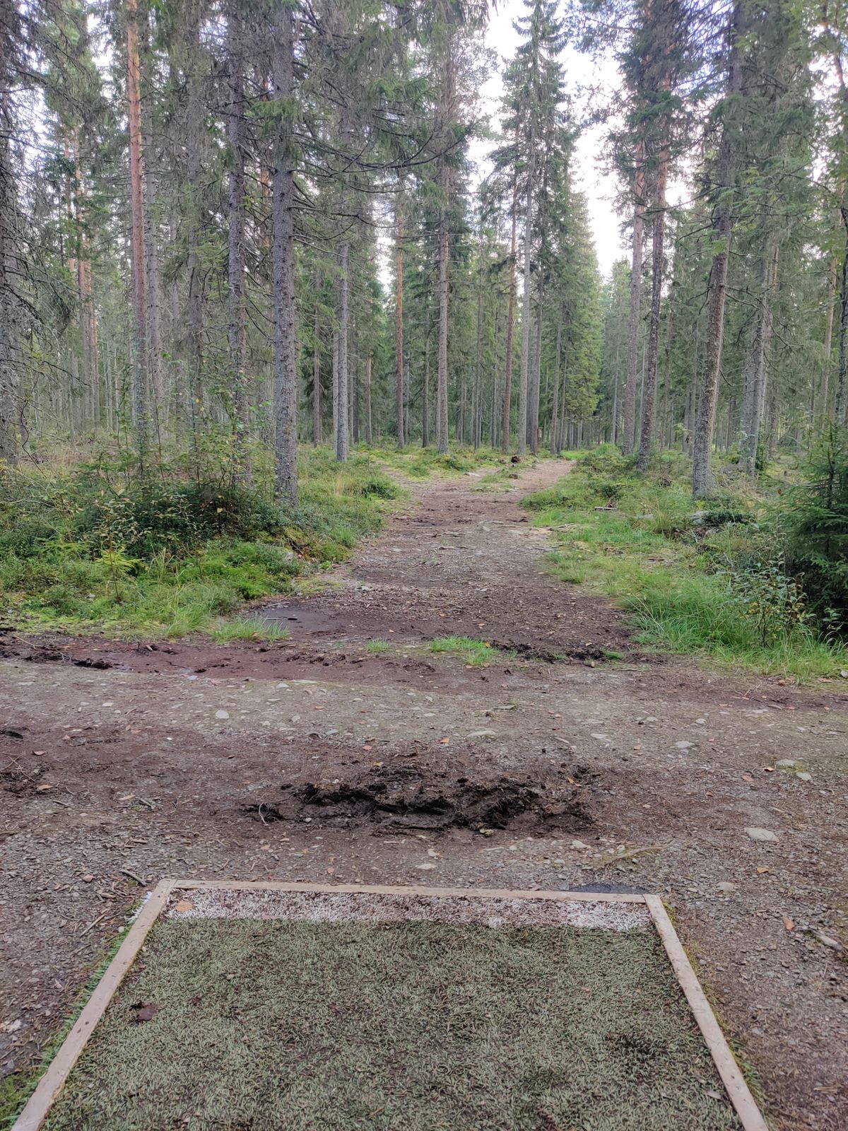 Väylä #17. Jälleen väylä, jossa alkupuoli hyvässä kunnossa ja loppua kohden tosi vetistä
