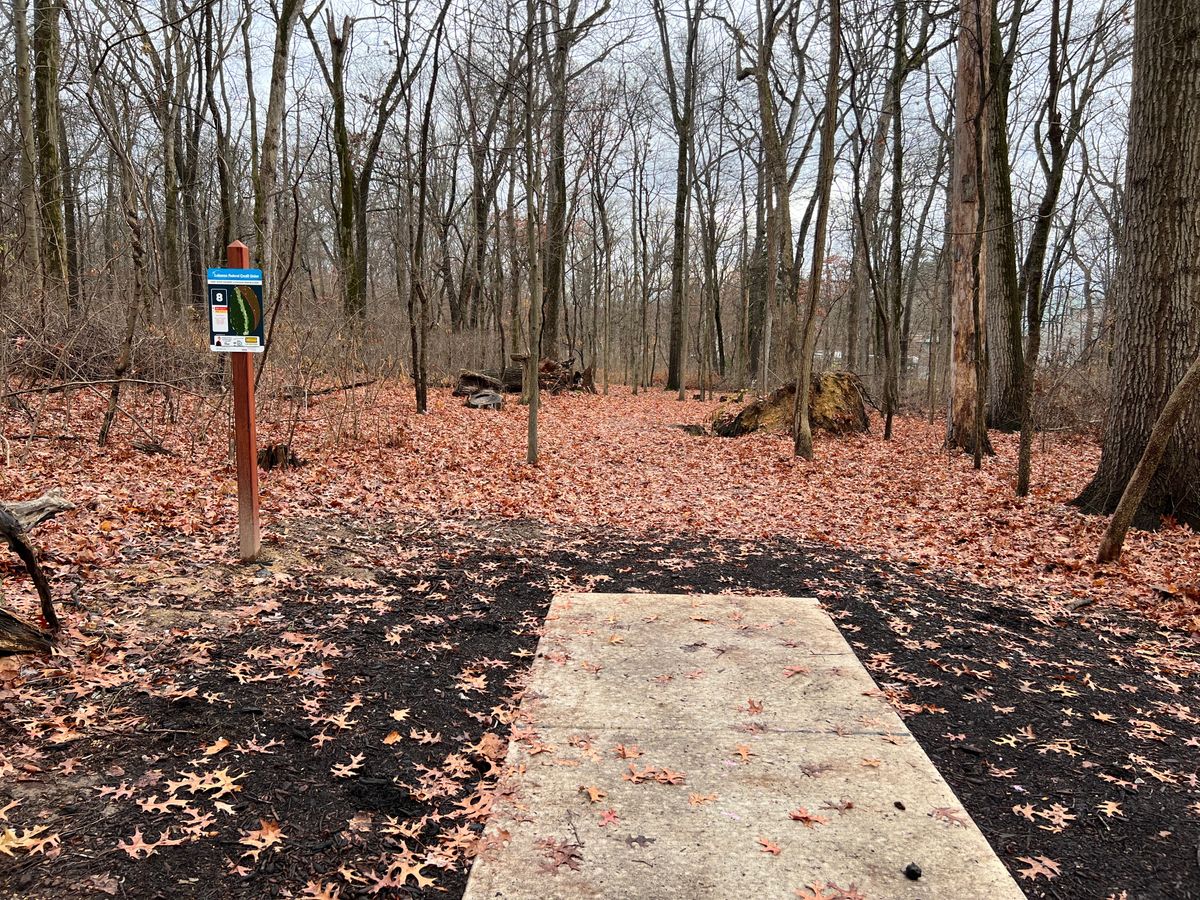 Hole 8