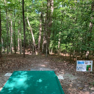 Hole #5