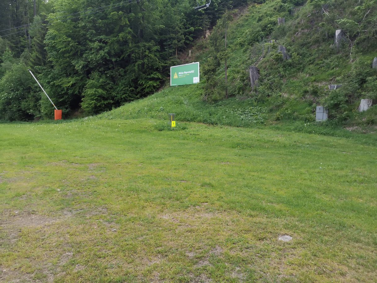 Tee 1