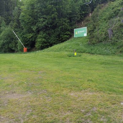 Tee 1