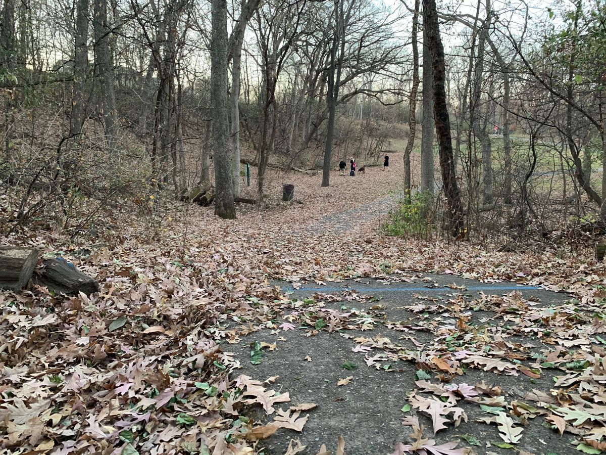 Hole 7 alternate tee.