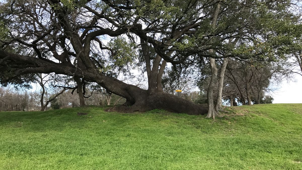 Hole 1