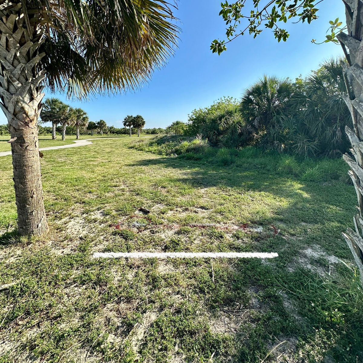 Hole 3 White
