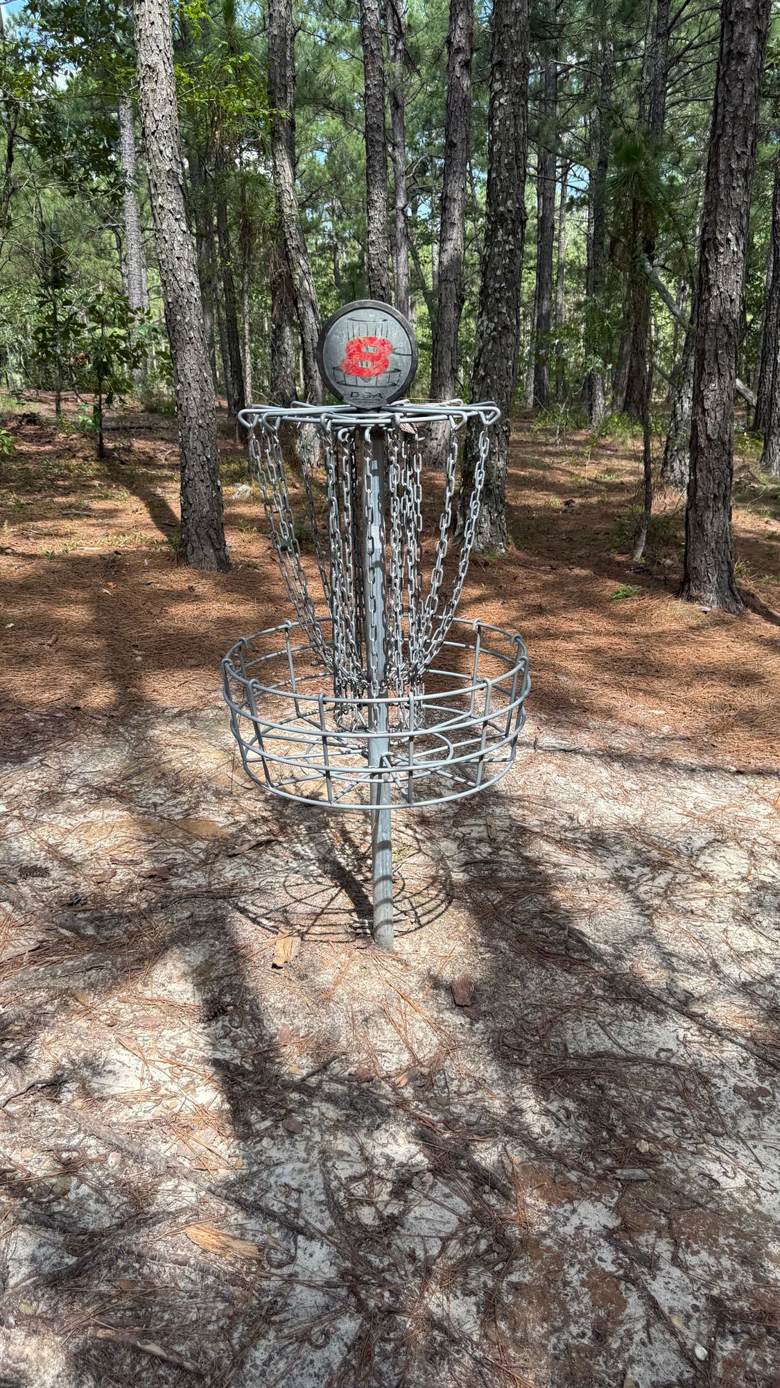 Hole 8 Basket