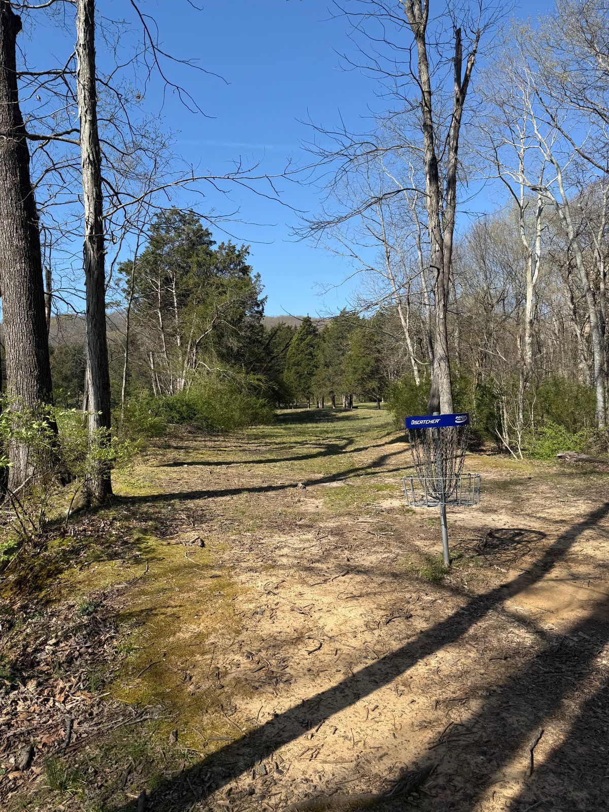 Reverse view basket and fairway